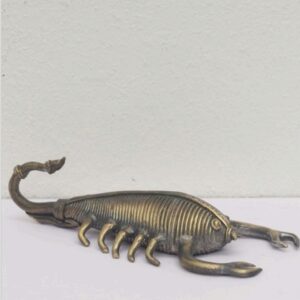 The Scorpion midline