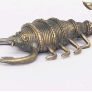 Segmented Scorpion